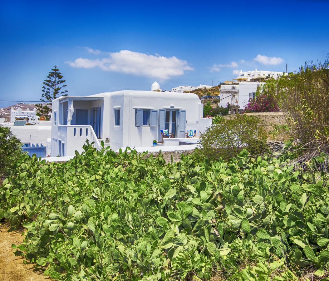 Sole Mare Villa Mykonos Town Bagian luar foto