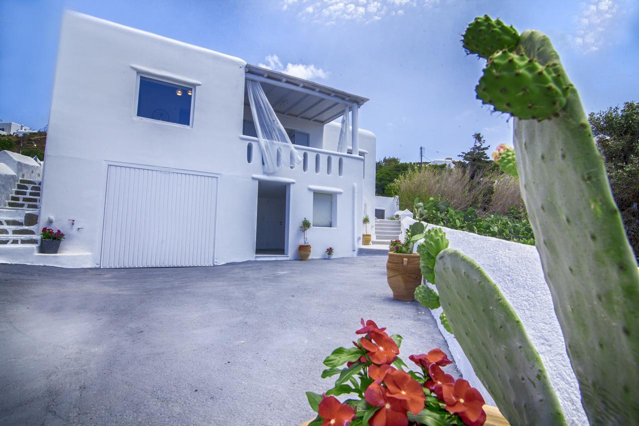 Sole Mare Villa Mykonos Town Bagian luar foto